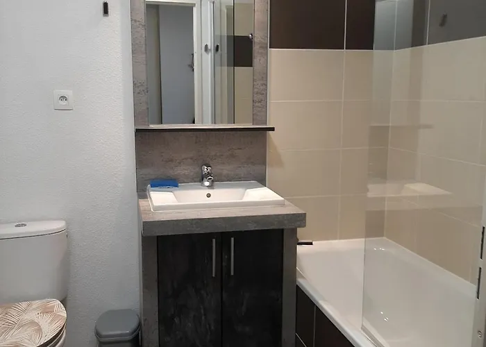 Pti' Bonheur Apartment Toulouse