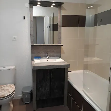 Pti' Bonheur Διαμέρισμα Τουλούζη